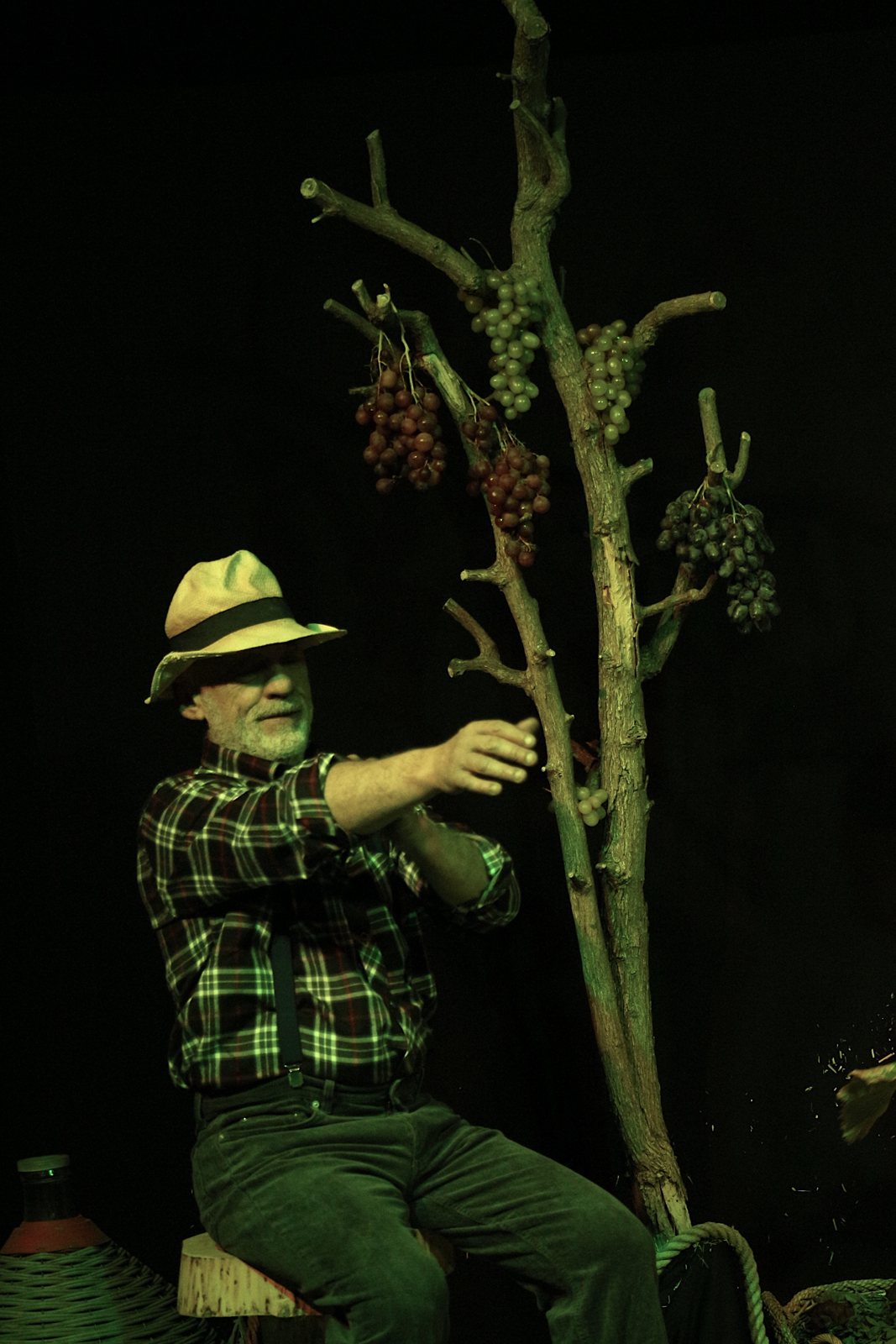 I racconti dell’uva Grappolina — foto 5 di 10